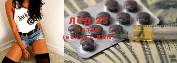 гашик Дмитров