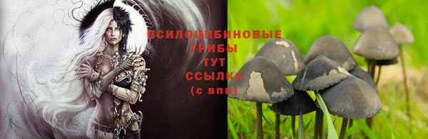 дистиллят марихуана Дмитриев