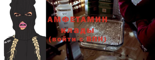 гашик Дмитров