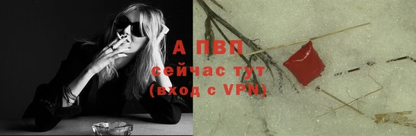 гашик Дмитров