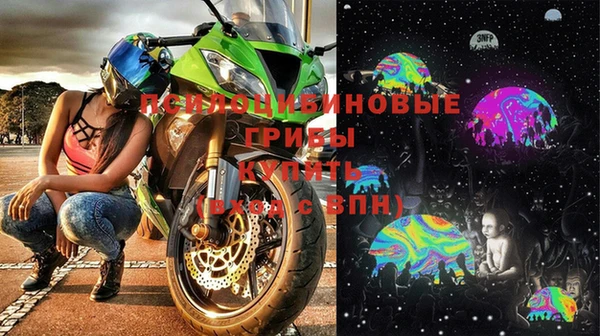 гашик Дмитров