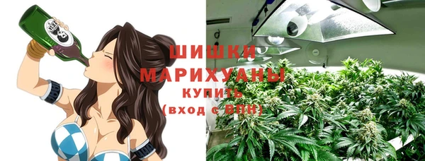 гашик Дмитров
