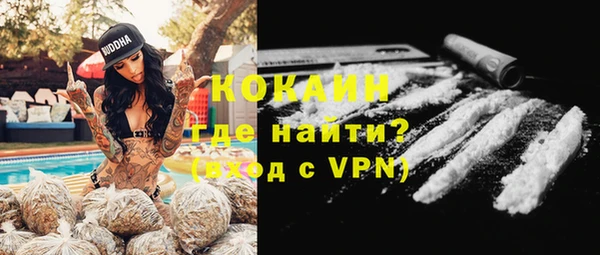 гашик Дмитров