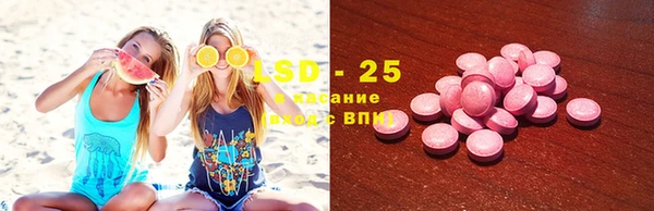 гашик Дмитров