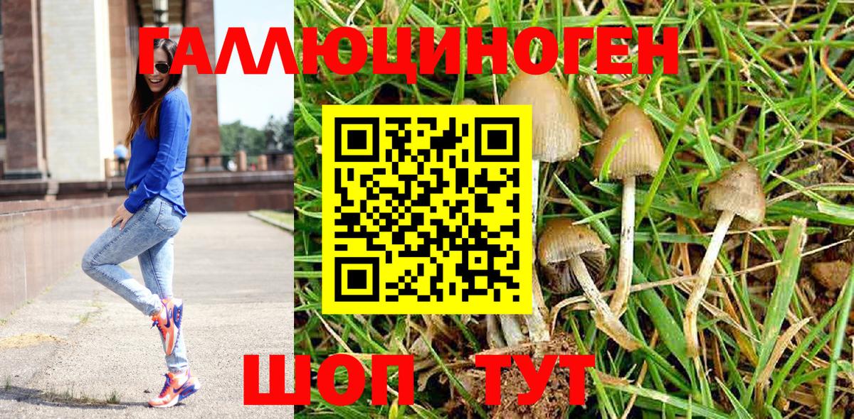 Галлюциногенные грибы Cubensis Рязань